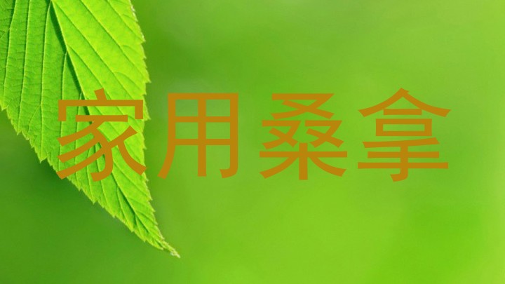 家用桑拿