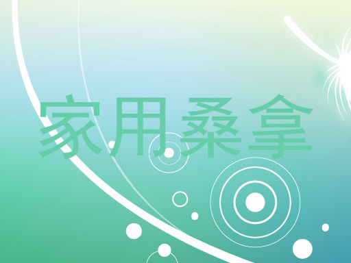 家用桑拿