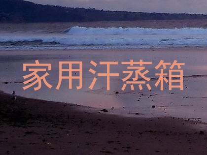 家用汗蒸箱