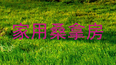 家用桑拿房