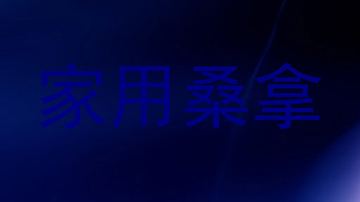 家用桑拿