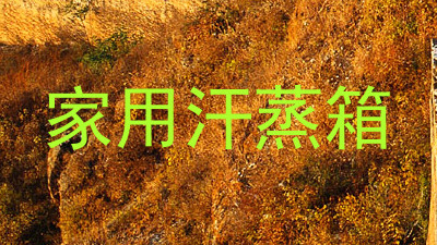 家用汗蒸箱