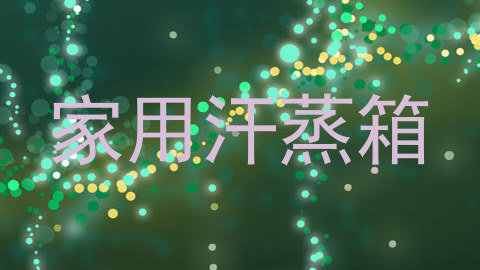 家用汗蒸箱