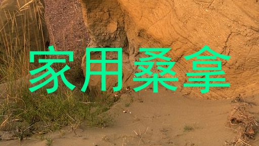 家用桑拿