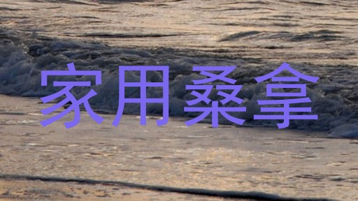 家用桑拿