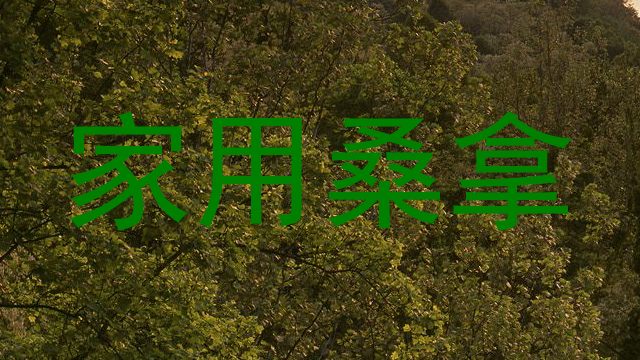 家用桑拿