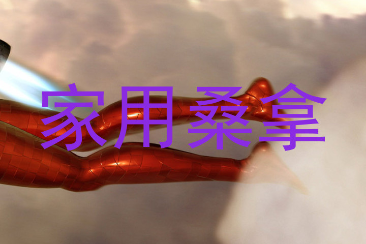 家用桑拿