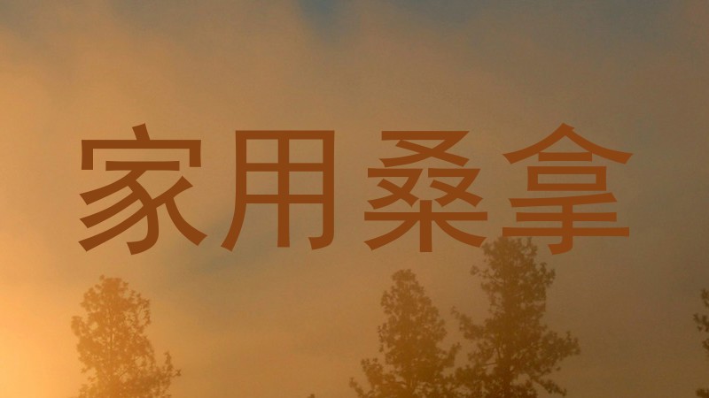 家用桑拿