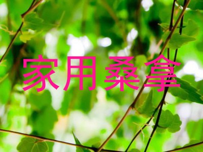 家用桑拿
