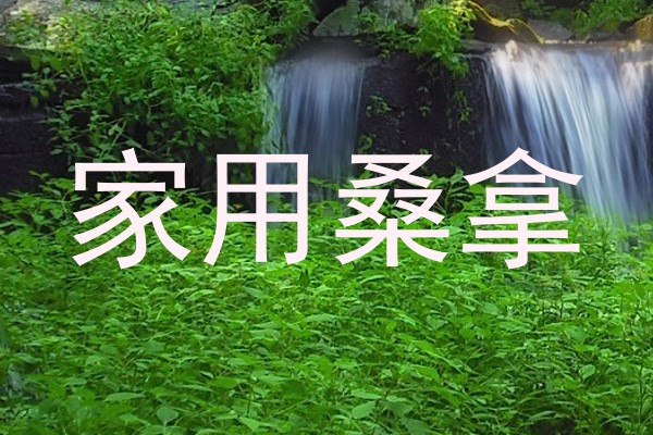 家用桑拿