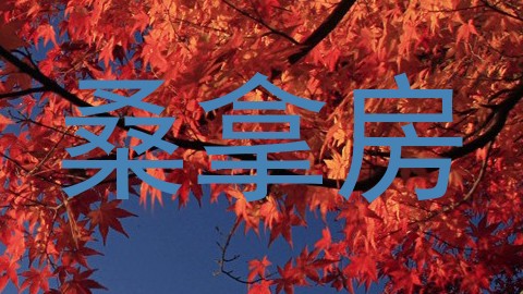 桑拿房