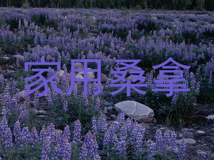 家用桑拿