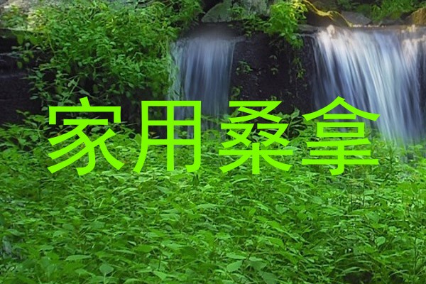 家用桑拿