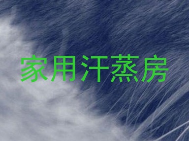 家用汗蒸房