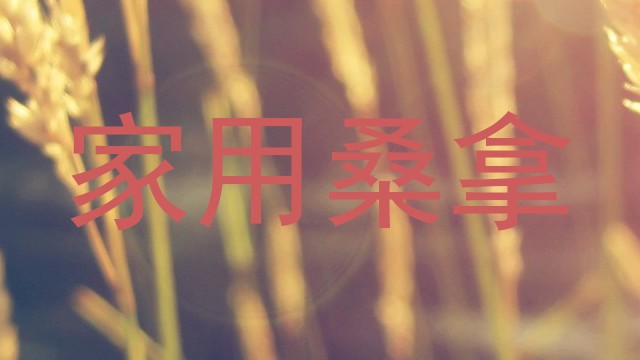 家用桑拿