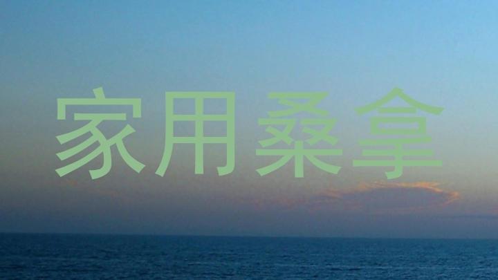 家用桑拿