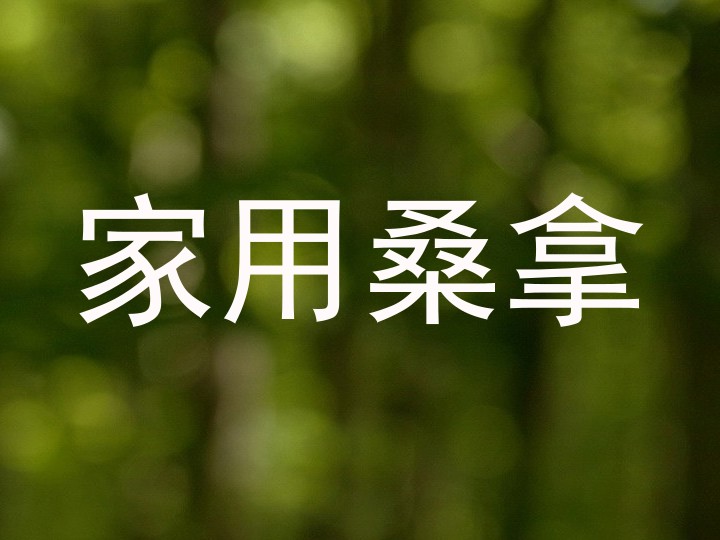 家用桑拿