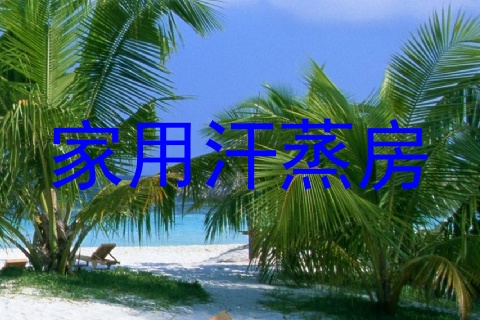 家用汗蒸房