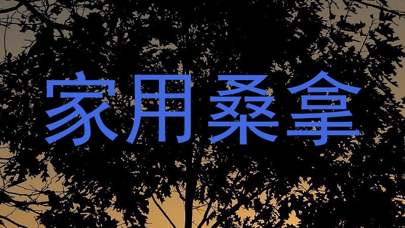 家用桑拿