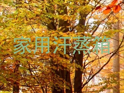 家用汗蒸箱
