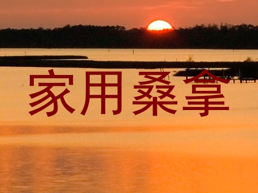 家用桑拿