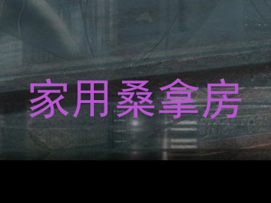家用桑拿房