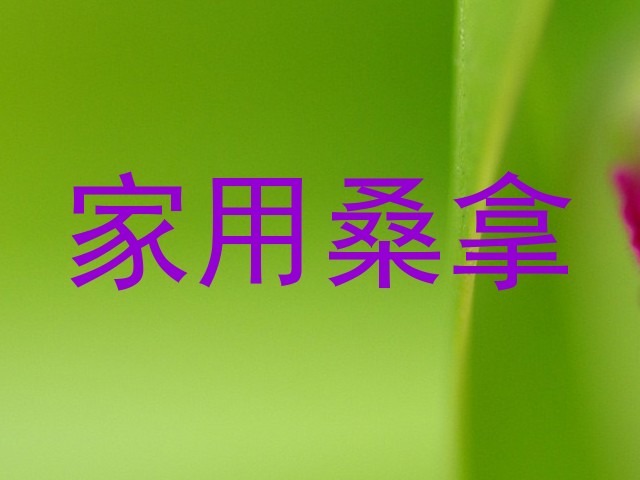 家用桑拿
