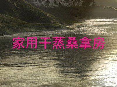 家用干蒸桑拿房