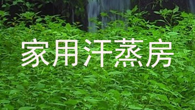 家用汗蒸房
