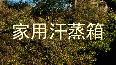 家用汗蒸箱