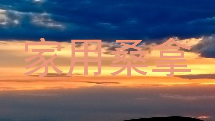 家用桑拿