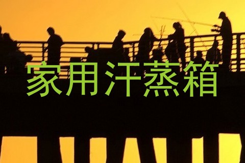 家用汗蒸箱
