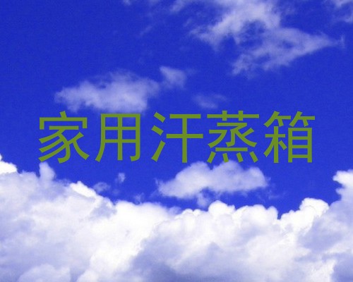 家用汗蒸箱