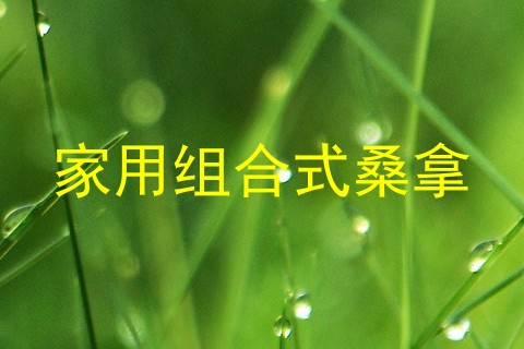 家用组合式桑拿