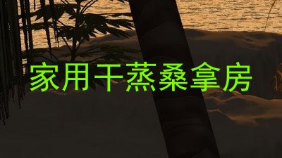 家用干蒸桑拿房
