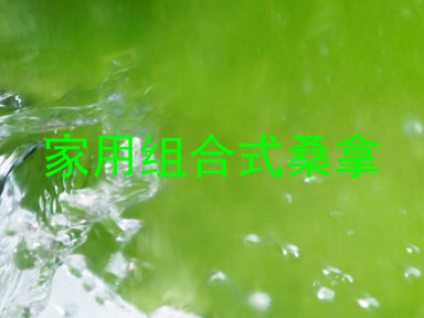 家用组合式桑拿