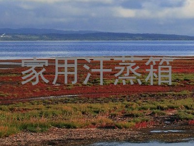家用汗蒸箱