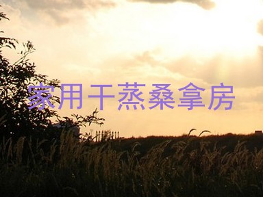 家用干蒸桑拿房