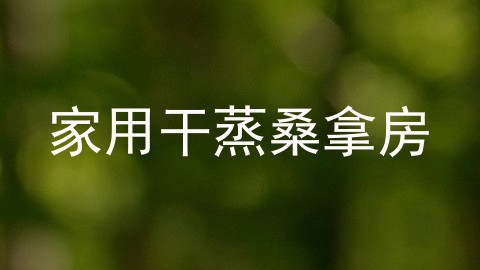 家用干蒸桑拿房