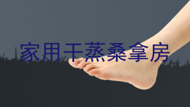 家用干蒸桑拿房