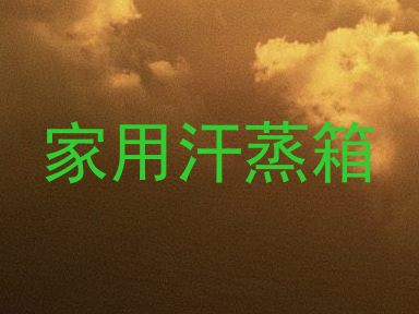 家用汗蒸箱