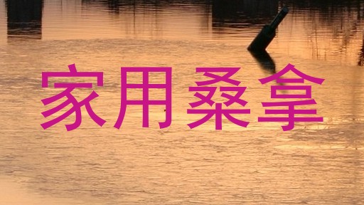 家用桑拿