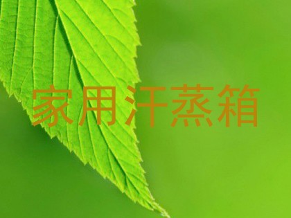 家用汗蒸箱