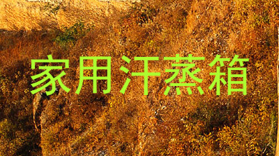 家用汗蒸箱