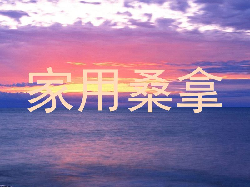 家用桑拿