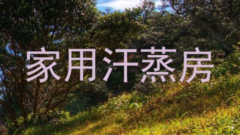 家用汗蒸房