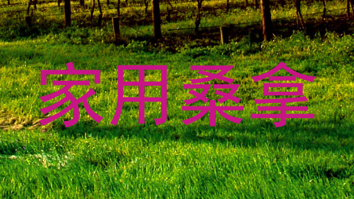 家用桑拿