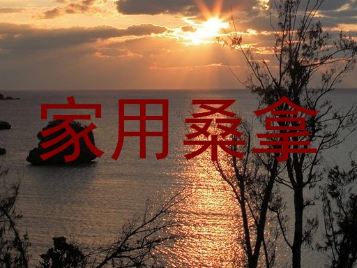 家用桑拿