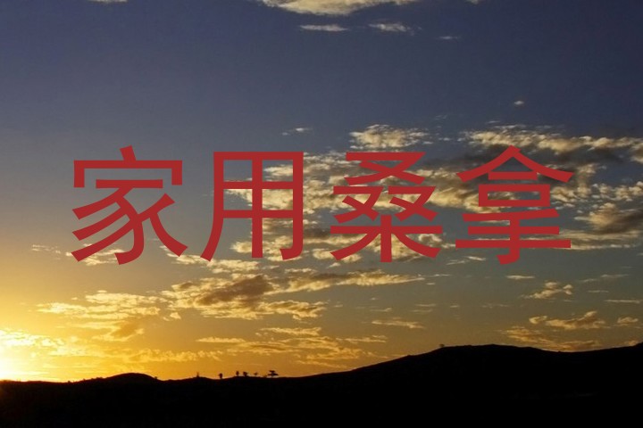 家用桑拿