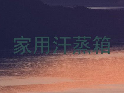 家用汗蒸箱